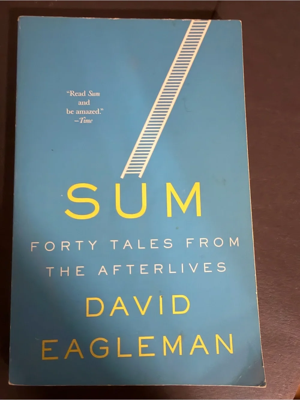 SUM by David Eagleman -Paperback